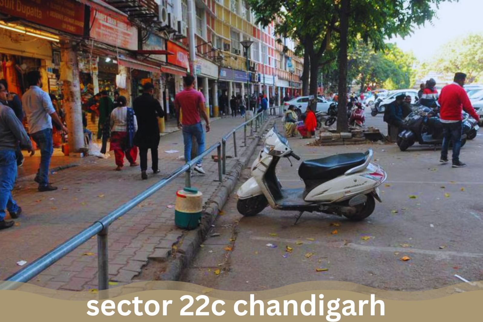 sector 22c chandigarh