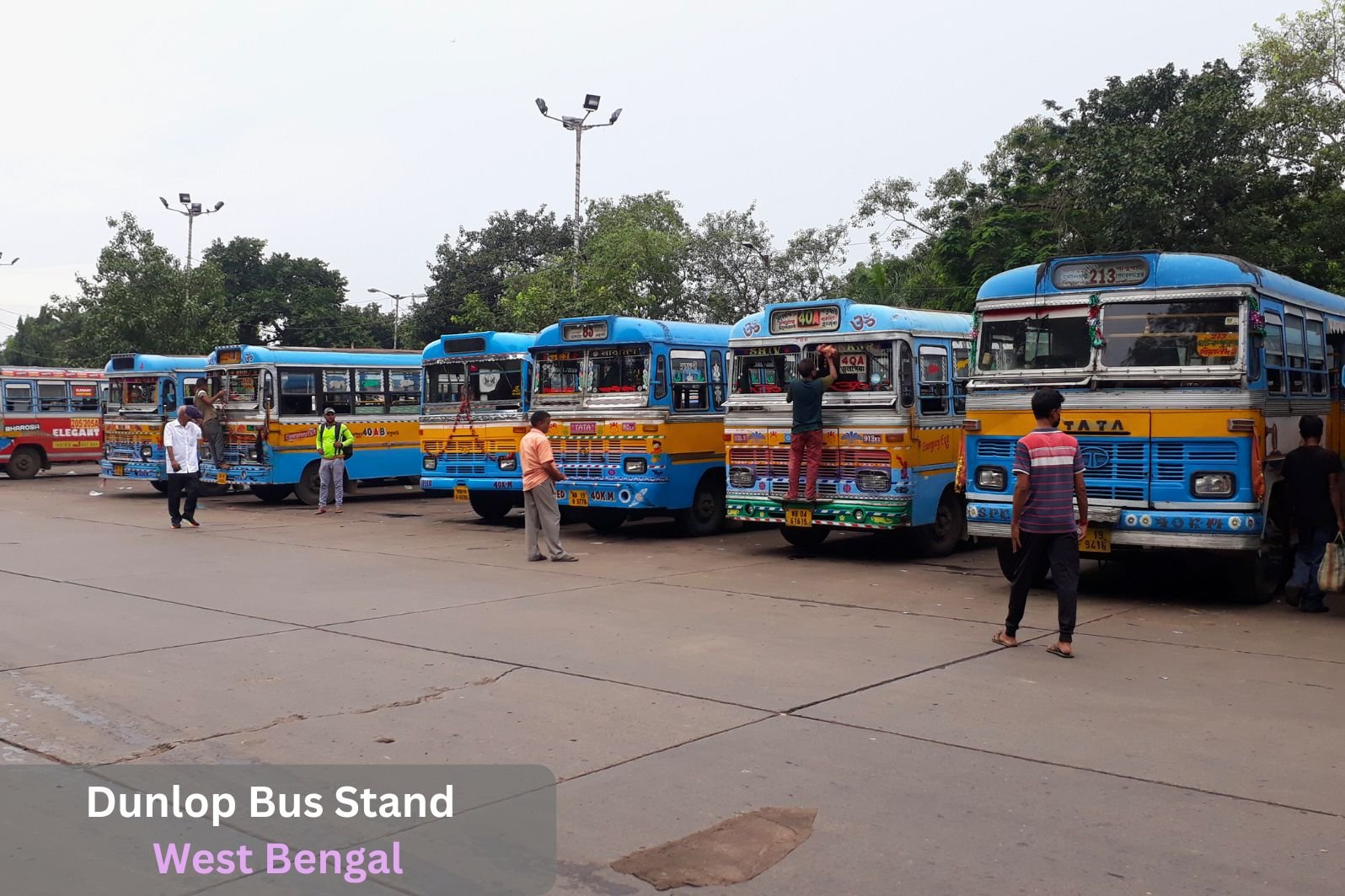 Dunlop Bus Stand