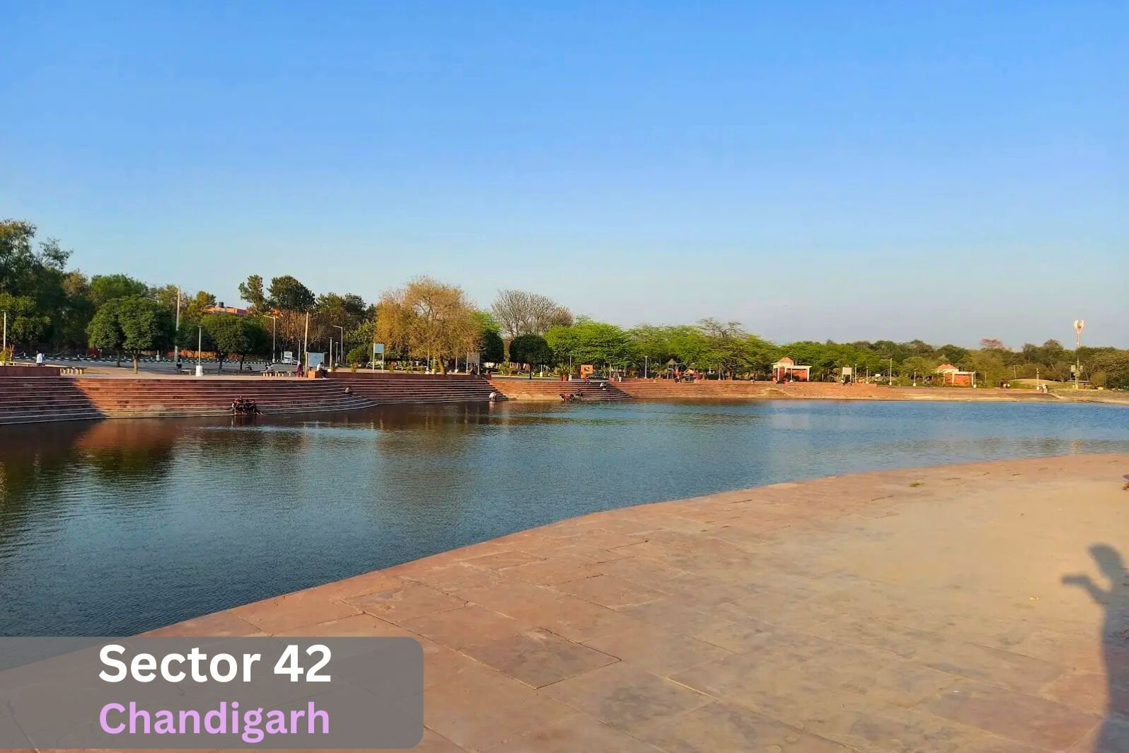 Sector 42